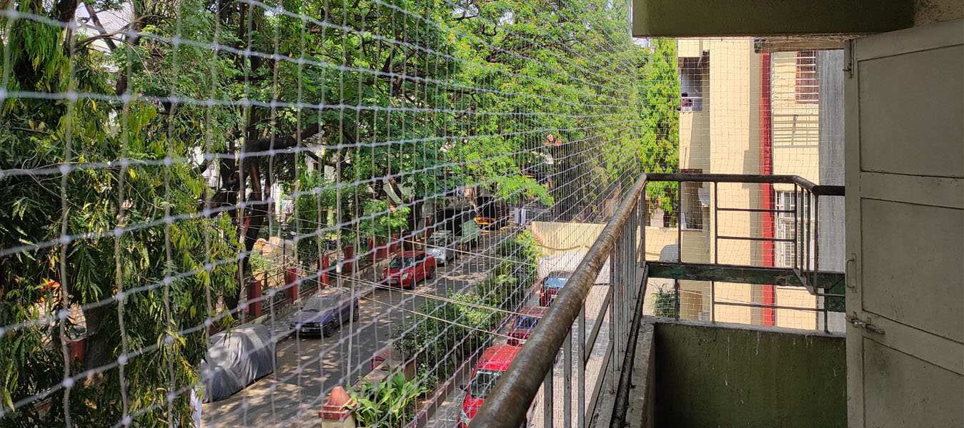 Cricket Practise nets